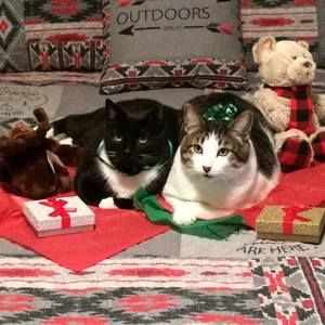 Meet your Posher, Jackie